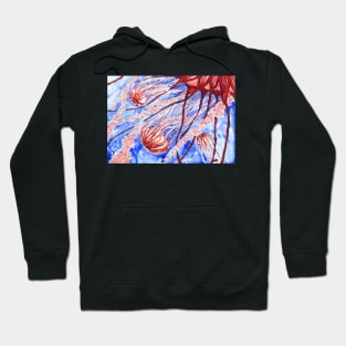 The Wonderful World of Jellyfish Hoodie